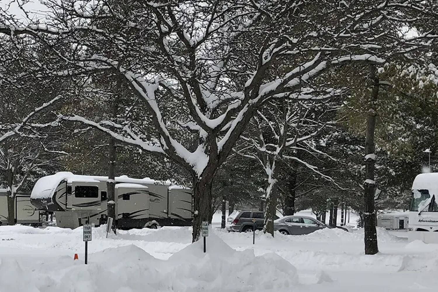 Winter camping at Waldenwoods Resort with snow-covered trees and RVs. Snow-covered trees and RVs at Waldenwoods Family Recreation Resort during winter.